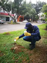 Adopción de zonas verdes en Cali: un programa que da frutos