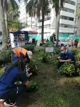 Adopción de zonas verdes en Cali: un programa que da frutos