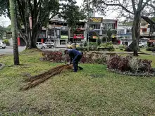 Adopción de zonas verdes en Cali: un programa que da frutos
