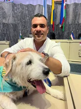 La Unidad de Protección Animal: una necesidad para garantizar el bienestar de la fauna en Cali