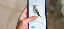 VI Festival de Ciencia y Tecnología, ventana de nuevos talentos para Cali
