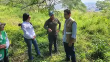 Sendero ecológico Morelia reconcilia a Cali con su medio ambiente