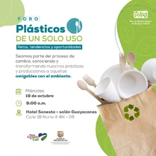 Foro sobre plásticos de un solo uso: retos, tendencias y oportunidades