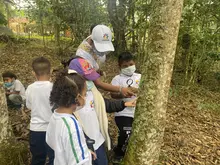 Importancia del grado transición para llegar a la básica primaria 