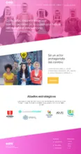 Sistema de informacion CCTI - Articulación de actores