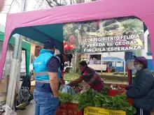 Feria de servicios municipales se tomó el corregimiento de Felidia