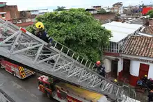 En Simulacro Municipal, organismos de socorro realizaron búsqueda y rescate de tres personas