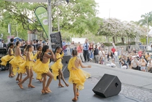 IPC al Bulevar celebra las artes populares