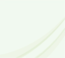 fondo