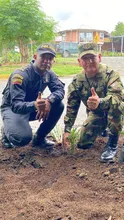 Ejército y Policía recuperaron punto clandestino en el sur de Cali