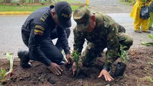 Ejército y Policía recuperaron punto clandestino en el sur de Cali