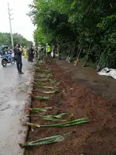 Ejército y Policía recuperaron punto clandestino en el sur de Cali