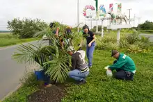 Jóvenes caleños sembraron el futuro ambiental de la Sultana del Valle