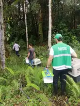 Un perro de monte y dos zarigüeyas, libres en su verdadera casa