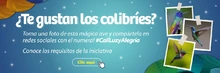 Colibries