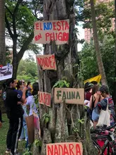 Jóvenes de Montebello ejemplo de compromiso  con la recuperación de sus fuentes hídricas