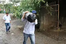 Una brigada de atención llegó este sábado a los sectores afectados por las inundaciones