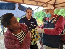 Dagma brindó atención veterinaria en zona inundada del jarillón del río Cauca