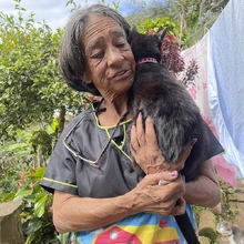 En Cali, el amor por los animales se tomó los albergues
