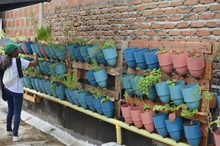 Los Ecobarrios dan los primeros pasos para conformar una Ruta Pedagógica