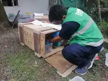Reubicarán en su hábitat a 13 animales exóticos