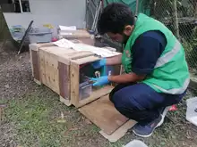 Reubicarán en su hábitat a 13 animales exóticos