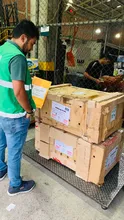Reubicarán en su hábitat a 13 animales exóticos