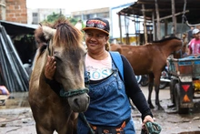 Más de 100 equinos, libres del trabajo