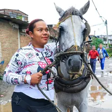 Alcaldía de Cali realiza jornada de pre-adopción equina en el barrio Alfonso Bonilla Aragón