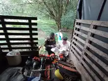 Sorprendida cuadrilla ilegal talando 8 árboles en la comuna 19
