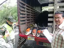 Sorprendida cuadrilla ilegal talando 8 árboles en la comuna 19