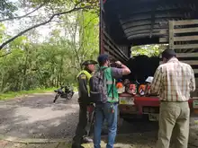 Sorprendida cuadrilla ilegal talando 8 árboles en la comuna 19