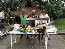 Sorprendida cuadrilla ilegal talando 8 árboles en la comuna 19