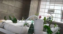 Emprendimiento e innovación en feria de emprendimiento Juanista