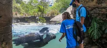 Expedición ‘Todas y Todos a Estudiar’, por el zoológico de Cali