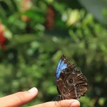 Expedición ‘Todas y Todos a Estudiar’, por el zoológico de Cali