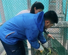 Acciones interinstitucionales para rehabilitación y liberación de fauna silvestre