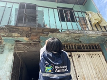 Equipo de protección animal, presente en los jarillones