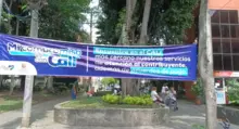 Sin excusas para no aprovechar los beneficios del Papayazo Tributario 