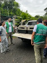 Acciones para  migar los efectos del tráfico en la fauna silvestre 