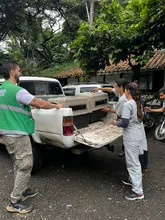 Acciones para  migar los efectos del tráfico en la fauna silvestre 