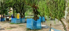 Parque Integral Cristo Rey preserva el corredor ecológico 