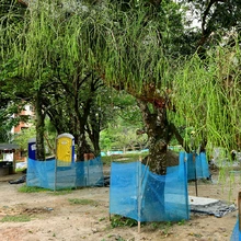 Parque Integral Cristo Rey preserva el corredor ecológico 