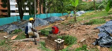 Parque Integral Cristo Rey preserva el corredor ecológico 