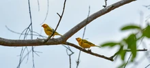 Parque Integral Cristo Rey preserva el corredor ecológico 