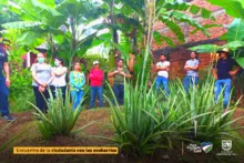 Cali, amigable con el ecosistema