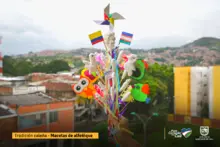 Macetas de Cali