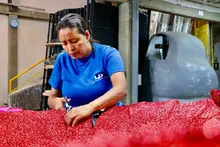 Madres cabeza de familia, las artesanas del Alumbrado Navideño