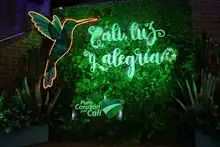 ‘Cali, Luz y Alegría’, un alumbrado alusivo a la biodiversidad de la ‘Sucursal del Cielo’