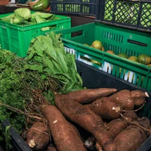 Durante 12 horas emprendedores caleños ofrecerán sus productos en el Bulevar del río